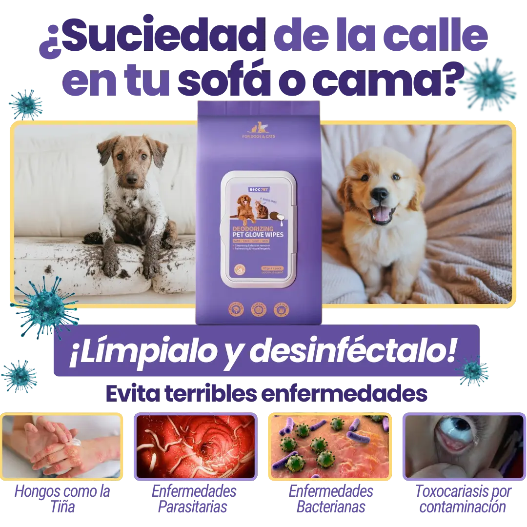 Pet Cleaning