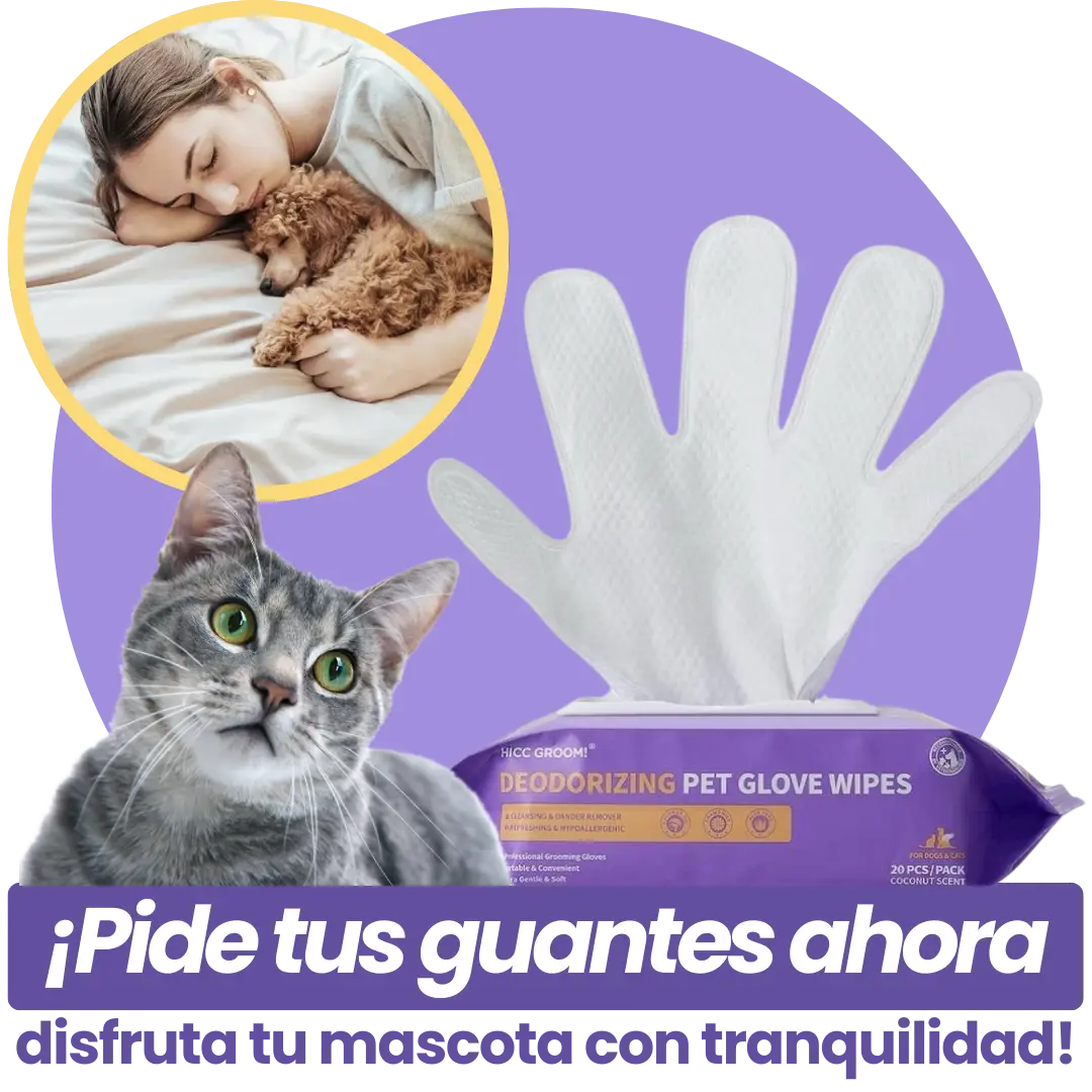 Pet Cleaning