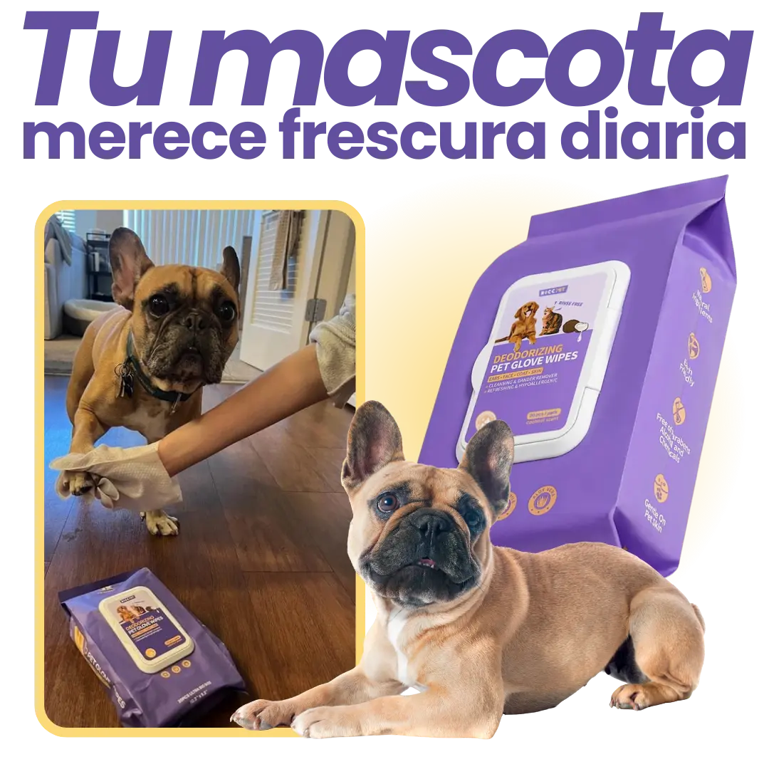 Pet Cleaning