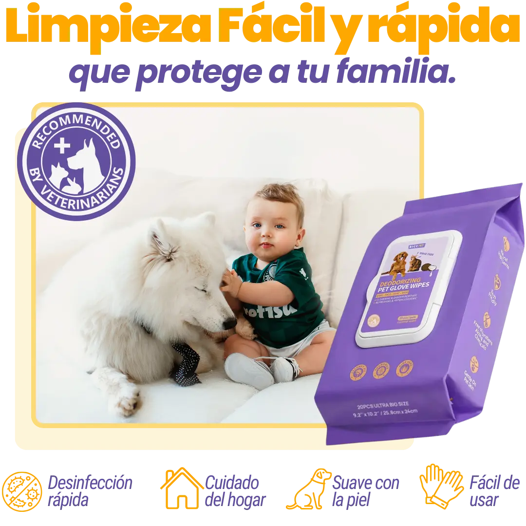 Pet Cleaning