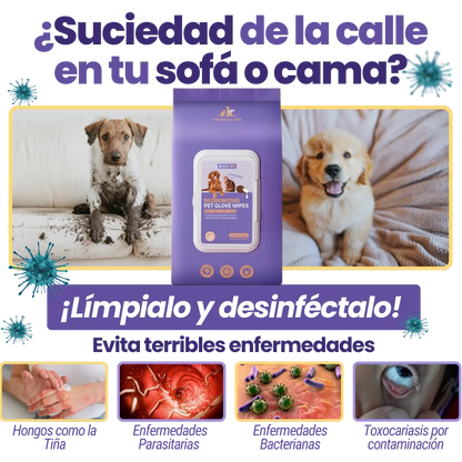 Pet Cleaning