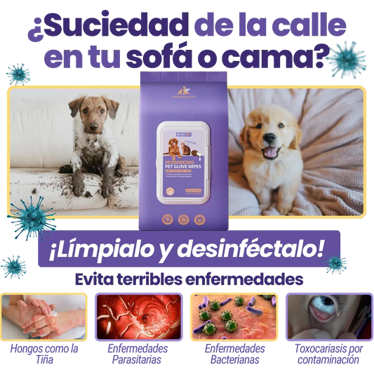 Pet Cleaning