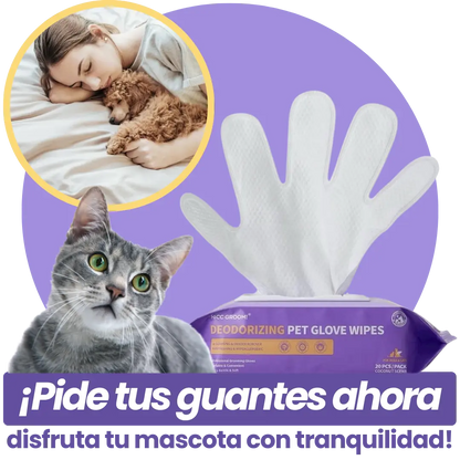 Pet Cleaning