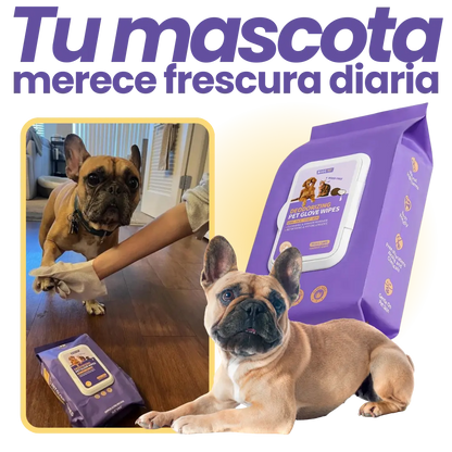 Pet Cleaning